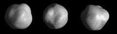 Preview of Asteroid 1998 KY26