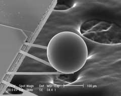 Preview of A Force from Empty Space: The Casimir Effect