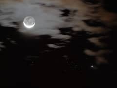 Preview of Jupiter, Moons and Bees