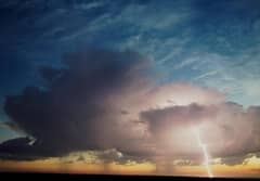 Preview of Venus Beyond the Storm