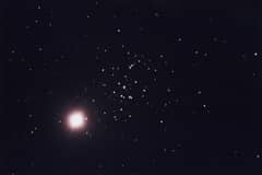 Preview of Jupiter in the Hive