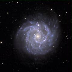 Preview of A Gamma Ray Burst - Supernova Connection