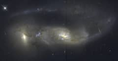 Preview of Arp 81: 100 Million Years Later