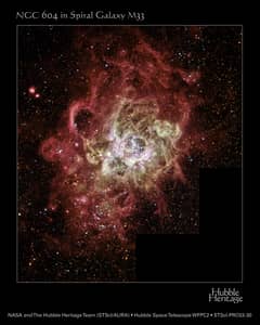 Preview of NGC 604: Giant Stellar Nursery