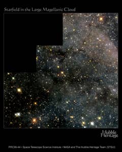 Preview of A Magellanic Starfield