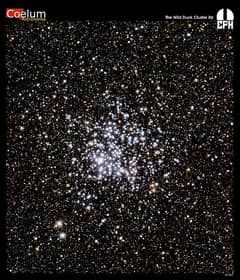 Preview of M11: The Wild Duck Cluster