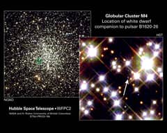 Preview of The Planet, the White Dwarf, and the Neutron Star
