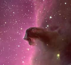 Preview of The Horsehead Nebula