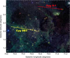 Preview of Cyg X-1: Can Black Holes Form in the Dark?