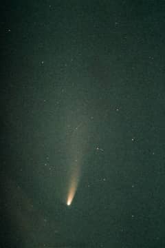 Preview of Comet NEAT in Southern Skies