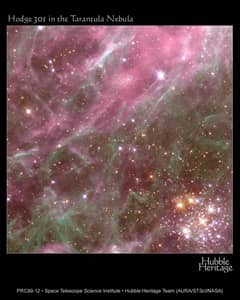 Preview of Denizen of the Tarantula Nebula