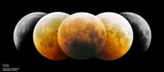 Preview of Eclipsed Moon Montage