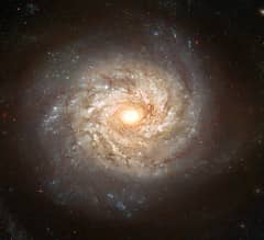 Preview of Spiral Galaxy NGC 3982 Before Supernova