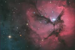 Preview of A Beautiful Trifid
