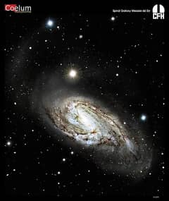 Preview of Unusual Spiral Galaxy M66