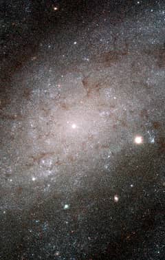 Preview of The Stars of NGC 300