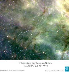 Preview of Tentacles of the Tarantula Nebula