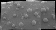 Preview of A Patch of Spherules on Mars