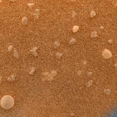 Preview of Magnified Mars