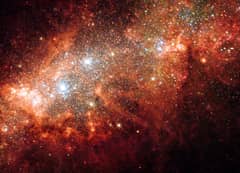 Preview of NGC 1569: Starburst in a Small Galaxy
