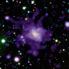 Preview of Galaxy Cluster in the Early Universe
