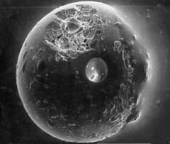 Preview of A Spherule from the Earth's Moon