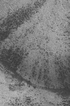 Preview of Polar Polygons on Mars