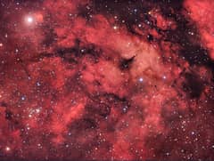 Preview of A Cygnus Starfield