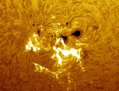 Preview of A Large Active Region Crosses the Sun