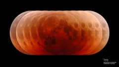 Preview of Pumpkin Moon