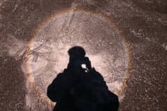 Preview of Identify this Phenomenon