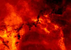 Preview of Hydrogen and Dust in the Rosette Nebula