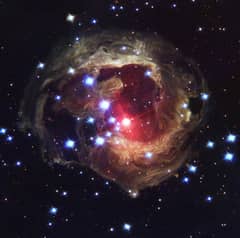 Preview of V838 Mon: Light Echo Update