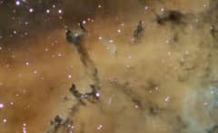 Preview of Dust Sculptures in the Rosette Nebula