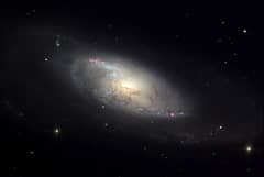 Preview of M106 in Canes Venatici