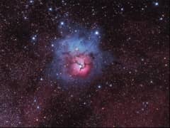 Preview of A Beautiful Trifid