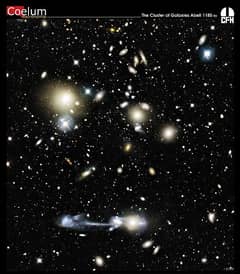 Preview of Galactic Collision in Cluster Abell 1185