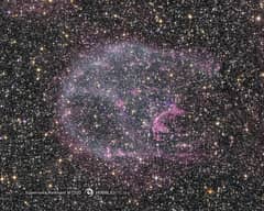 Preview of Supernova Remnant N132D in Optical and X Rays