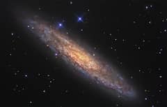 Preview of NGC 253: Dusty Island Universe