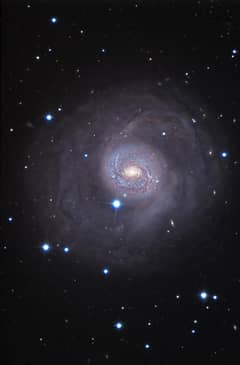 Preview of The Outskirts of M77