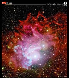 Preview of The Flaming Star Nebula from CFHT