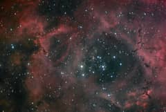 Preview of Dust and Light in the Rosette Nebula