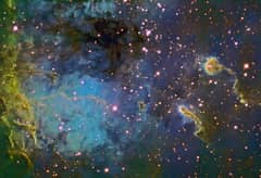 Preview of The Tadpoles of IC 410