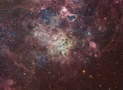 Preview of The Tarantula Nebula