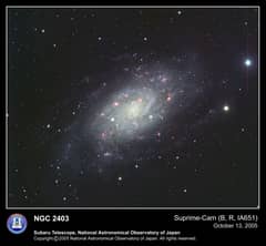 Preview of Spiral Galaxy NGC 2403 from Subaru