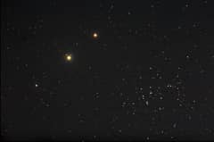 Preview of Planets, Bees, and a Donkey