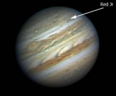 Preview of Red Spot Jr.