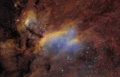 Preview of IC 4628: The Prawn Nebula
