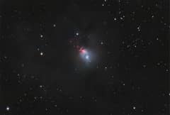 Preview of Dusty NGC 1333