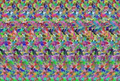 Preview of The Holographic Principle
